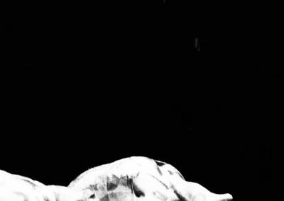the indian queen purcell peter sellars opera escena muertos